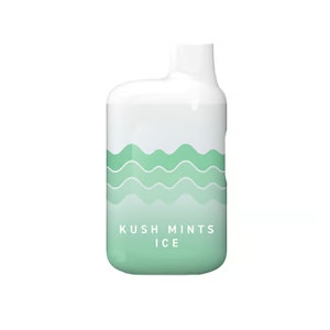 TEMPO - [Tempo] AIO - 1G - Kush Mints Ice (H)
