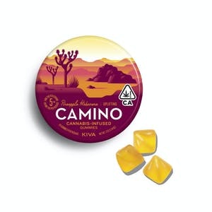 KIVA - Kiva Camino Gummies 100mg Pineapple Habanero 