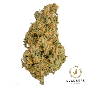 Gold Seal - Red Congolese - 3.5g (S) - Gold Seal