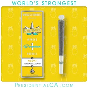 PRESIDENTIAL - [Presidential] Infused Moonrock Preroll - 1g - Pineapple (I)