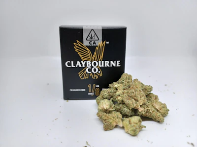CLAYBOURNE CO. - Claybourne Co. - Super Glue 3.5g