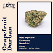 ELEVATE - GRAPEFRUIT DURBAN 3.5 GRAMS