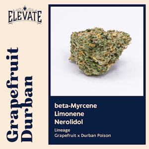 ELEVATE - ELEVATE - GRAPEFRUIT DURBAN 3.5 GRAMS