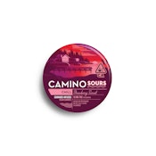 Camino - Strawberry Sunset Sours Gummies 100mg