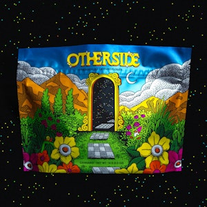 OTHERSIDE - Otherside | 14g Flower | Point Break | 14g