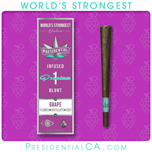 PRESIDENTIAL - Presidential Infused Blunt 1.5g Grape 