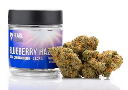 Blueberry Haze 3.5G