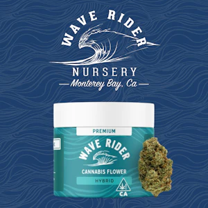 Wave Rider - Wave Rider 3.5g Gary Payton