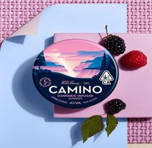 CAMINO - [Camino] THC Gummies - 100mg - Wild Berry (I)