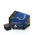 Wyld Gummies Elderberry 2:1 THC:CBN