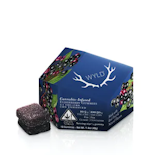 Wyld Gummies Elderberry 2:1 THC:CBN