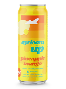 AYRLOOM - Pineapple Mango 2:1 Sparkling Water