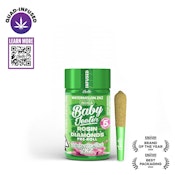 Baby Jeeters .5g x 5 Watermelon ZKZ Quad-Infused Indica