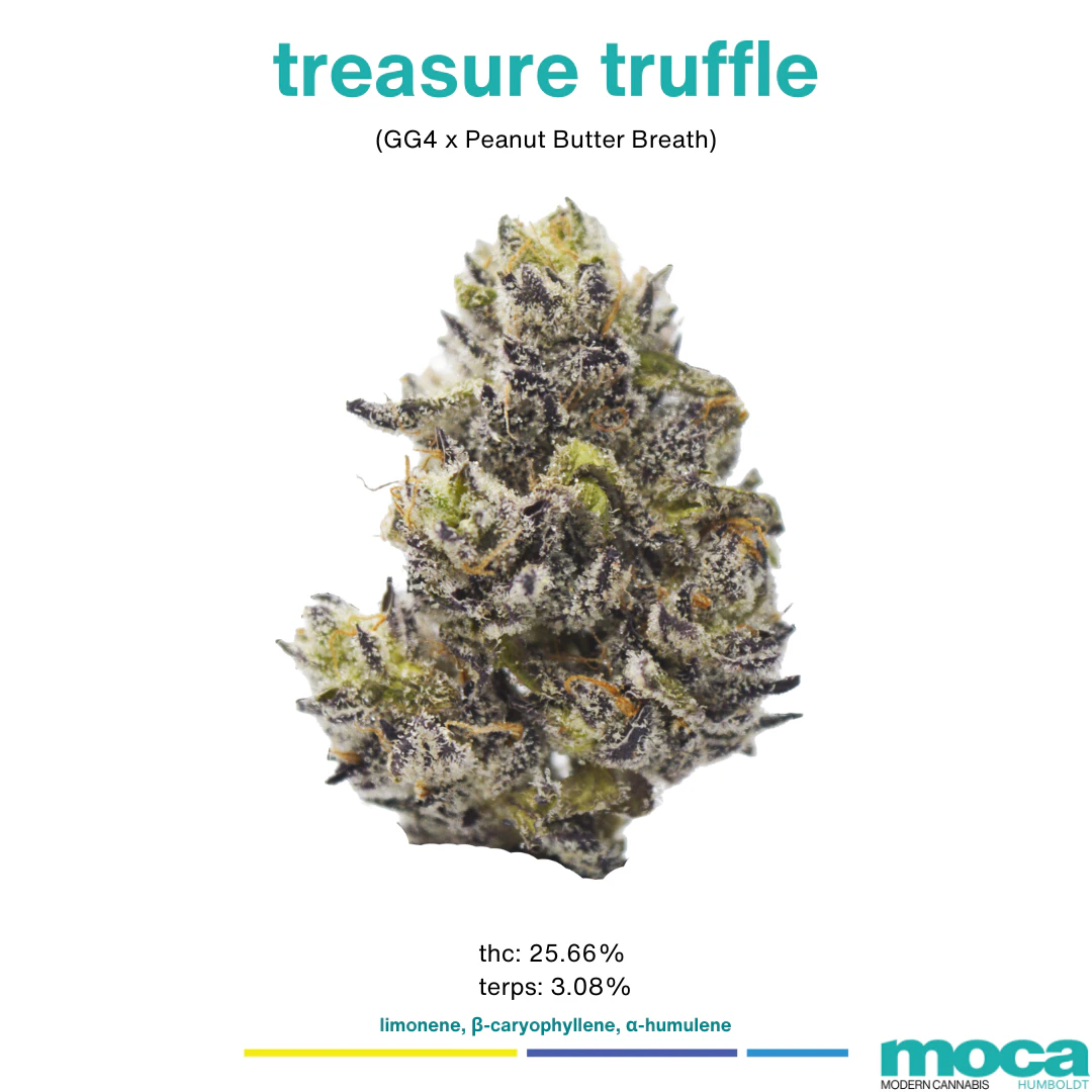 MOCA Flowers - MOCA Flowers - 1/8th Mylar Bag - Treasure Truffle Main Image