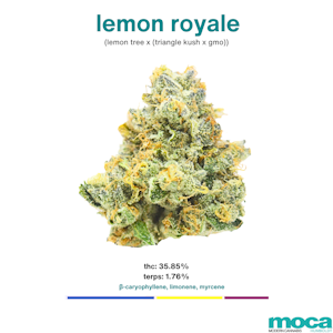MOCA Flowers - MOCA Flowers - 1/8th Jar - Lemon Royale