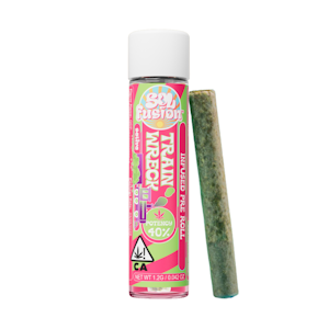 Sol Fusion - 1.2g Trainwreck Infused Pre-Roll - Sol Fusion