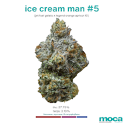 MOCA Flowers - Smalls 1/4 Bag - Ice Cream Man #5