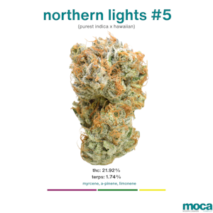 MOCA Flowers - MOCA Flowers - Smalls 1/4 Bag - Northern Lights #5