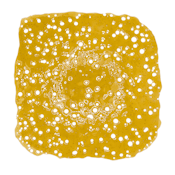 Galactic Gas Shatter
