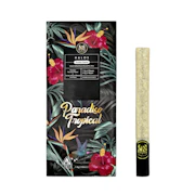 1.9g Paradiso Tropical Rosin Infused "Halo" Pre-Roll - Maven