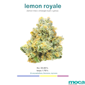 MOCA Flowers - 1G Smalls - Lemon Royale