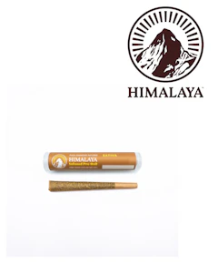 HIMALAYA - Tropicana Cherry THCa Infused Pre-Roll