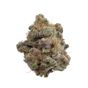 Blueberry Motor Oil, Indoor
