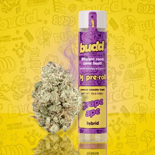 Budd - Grape Ape - 1g Preroll Main Image