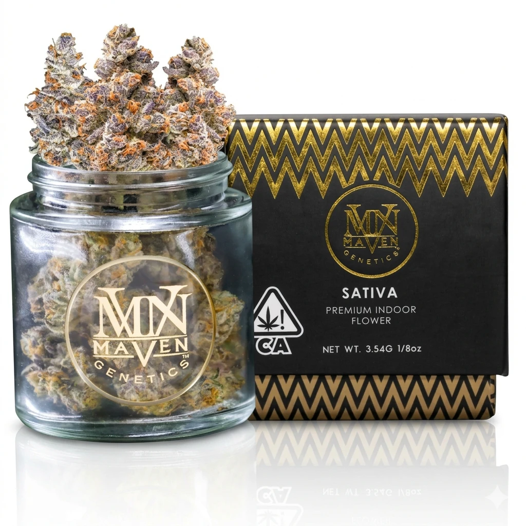 Maven Genetics - Maven Genentics - Flower - Indoor - Pineapple Biscotti - 3.5g Main Image