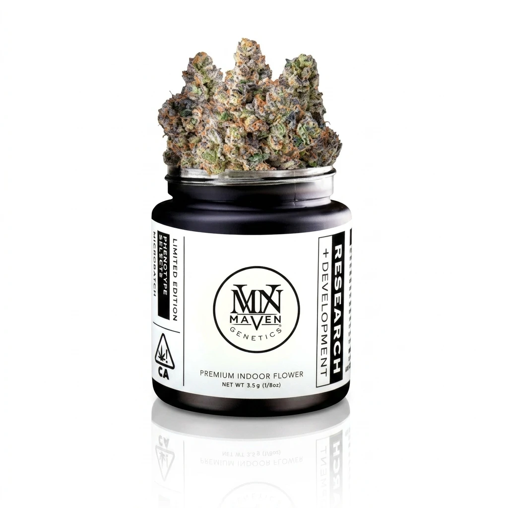 Maven Genetics - Maven Genetics - Flower - Indoor - French Butter - 3.5g Main Image