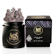 Maven Genetics - Flower - Indoor - Dirty Laundry - 3.5g