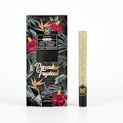 Maven Genetics - Hash Hole - Paradiso Tropical - 1.9g