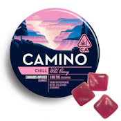 Camino - Edibles - Wild Berry - 100mg