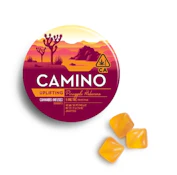 Camino - Edibles - Pineapple Habanero - 100mg