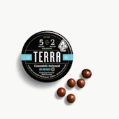 Terra Bites - Edibles - Milk and Cookies - CBN 5:2 - 100mg