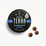Terra Bites - Edibles - Milk Chocolate Blueberries - 100mg
