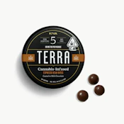 Terra Bites - Edibles - Dark Chocolate Espresso Beans - 100mg