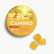 Camino - Edibles - Mango Serenity CBD 1:1 - 100mg