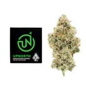 UpNorth - Flower - Indoor - NF1 - 3.5g