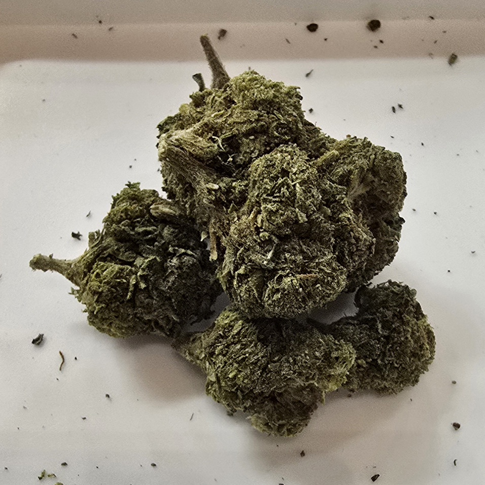 Bubblegum 