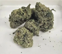 GG#4