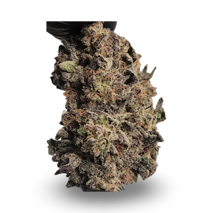 Cali-Blaze - Caliblaze- Icecream cake x Jealousy [ I ] 14g THC% 38.02