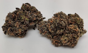 (D) Kapnos | Apples & Bananas (H) 