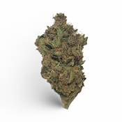 CaliBlaze - Hawaiian Dream  [ S ] 14 g THC% 27.99