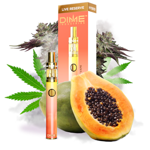 DIME INDUSTRIES - Dime 1000MG DISPOSABLE Papaya (Hybrid)