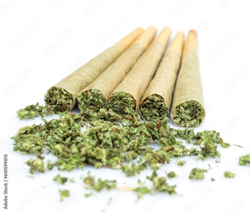 ELECTRALEAF - ELECTRALEAF: TROP CHERRY | 5PK | 2G | [S]