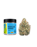 3.5g Tropicana Cookies (Indoor) - Greenline