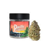 3.5g King Louis OG - Pacific Cultivation