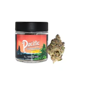 3.5g Pink Runtz - Pacific Cultivation