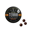 100mg THC Dark Chocolate Espresso Bean Terra Bites (5mg THC - 20 pack) - Kiva